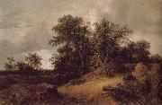 Dune Landfscape Jacob van Ruisdael